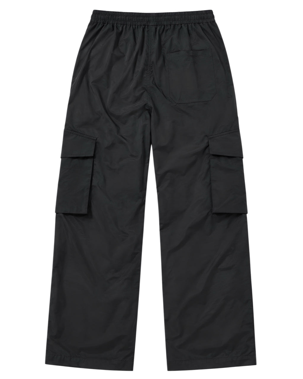 Ridge Cargo Pants